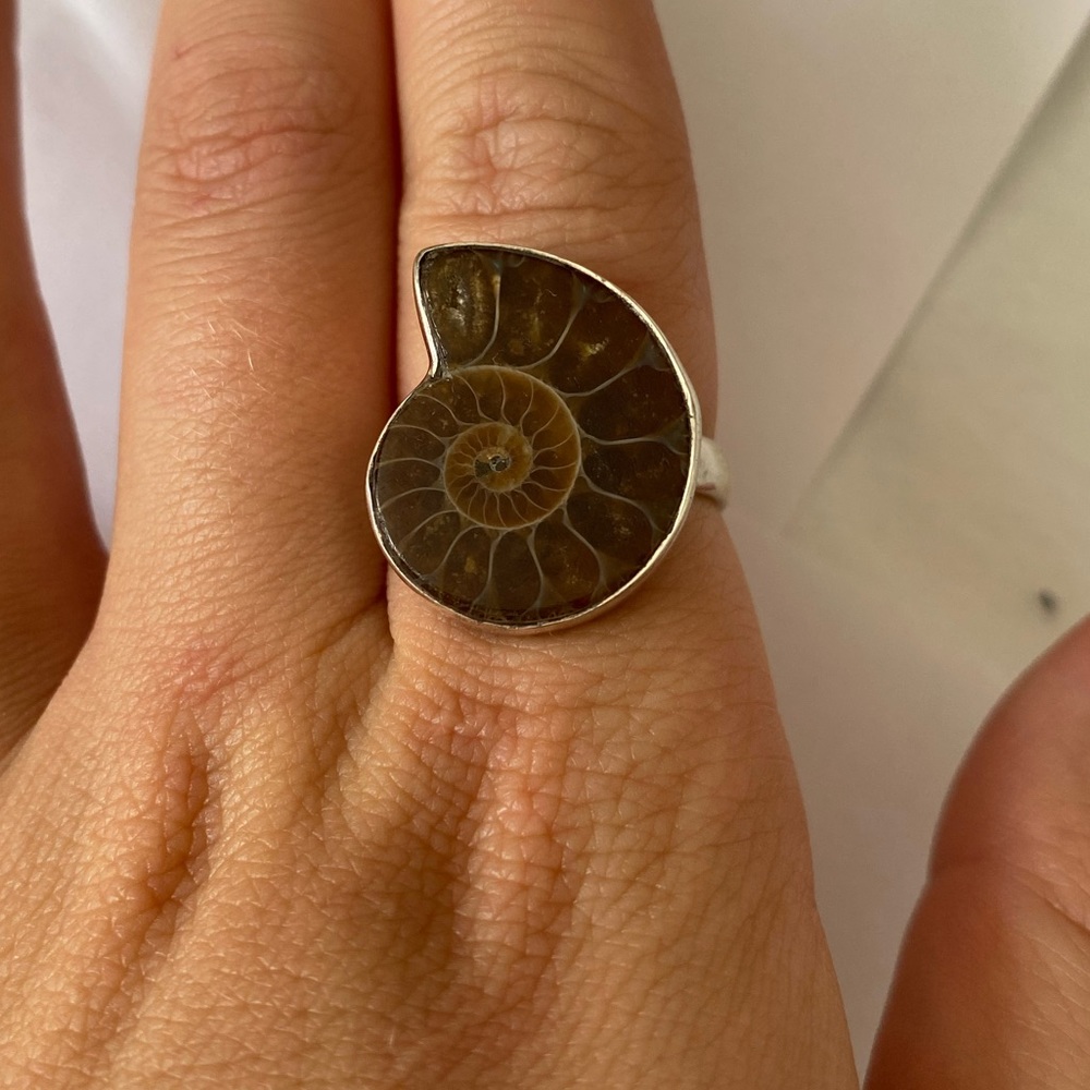Ammonite ring set in sterling silver 8